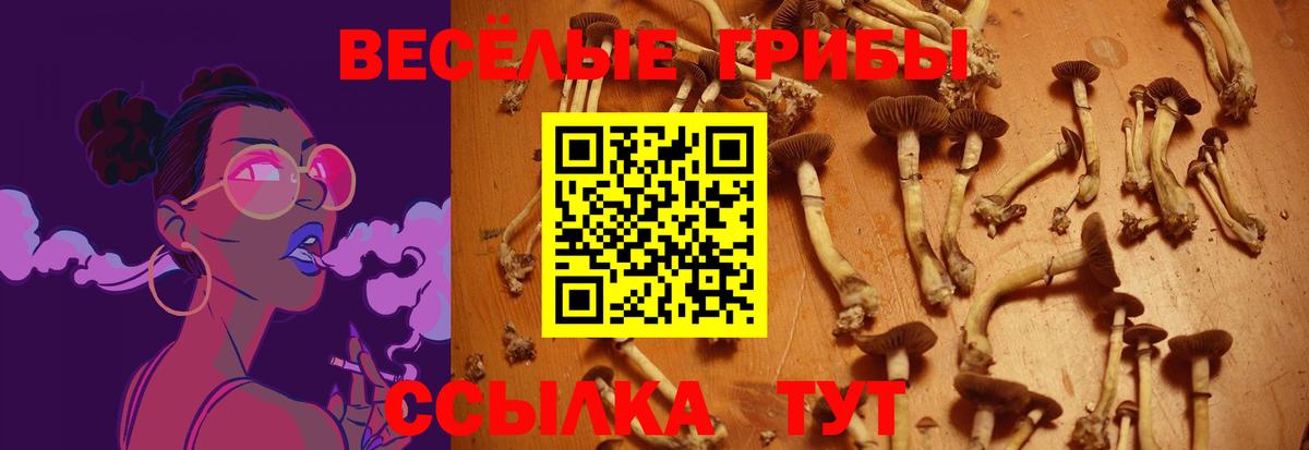 Борисоглебск  где можно купить   Вход с VPN  Галлюциногенные грибы мухоморы 